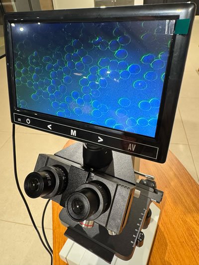 Después de la sesión